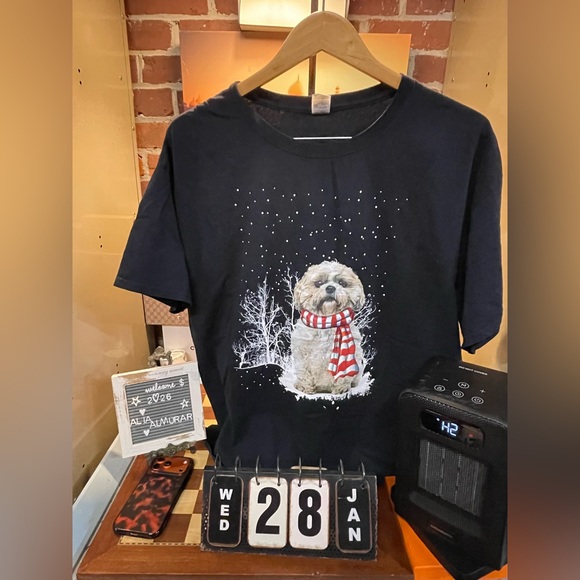 Winter dog - Picture 1 of 5